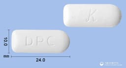 카네마졸질정100mg(클로트리마졸)